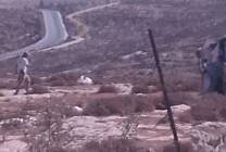 photo_٢٠٢٥-١١-٠١_١١-٠٢-٢٢