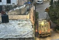 photo_٢٠٢٥-١٢-١٧_٠٧-١٣-٣٣