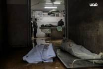 photo_٢٠٢٥-١٢-١٢_١٦-١٦-٥٧