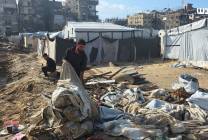 photo_٢٠٢٥-١٢-١٣_١٣-١٠-٠٧