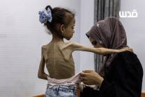 photo_2025-12-13_11-52-11