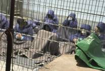 AP24221579665518 (1)