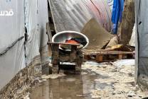 photo_٢٠٢٥-١٢-٢٨_١٢-٢٨-٤١