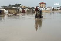 photo_٢٠٢٥-١٢-١٢_١٦-٢٩-٣٤