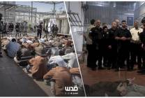 photo_2025-12-14_09-42-22