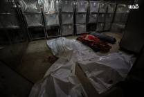 photo_٢٠٢٥-١٢-٢٠_١١-٤١-٠٩