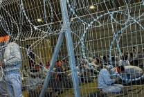 اسرى-سجون-الاحتلال (1)