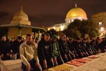 photo_2026-02-19_11-14-47