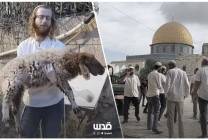 photo_2026-03-30_17-08-59