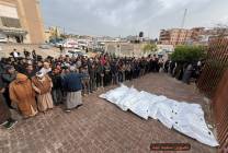 photo_2026-03-29_09-41-51