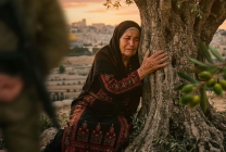 Gemini_Generated_Image_hfcz74hfcz74hfcz