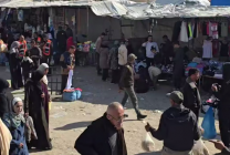 Screenshot 2026-03-05 210408