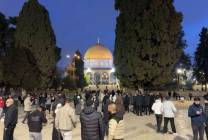 photo_2026-04-09_09-27-47