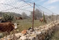 010-1758696971