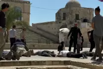 بلبل-1723537650