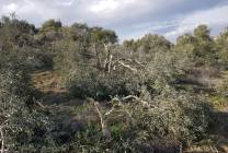 IMG-20211230-WA0029