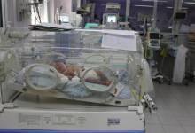 6-طفل حديث الولادة في قسم الأطفال الخدج في مستشفى المقاصد 
