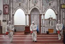 image (3)