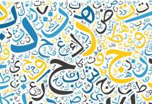 image (3)