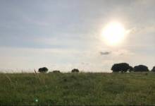 20190609063614