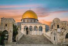 7dd20c13d73f67d66e33d1e9107fab8e