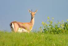 271554536_1813343782389668_3521233265068498942_n