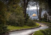 270229171_482120270294795_2421454068270239526_n