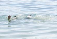 image_750x_5f37870735ee8