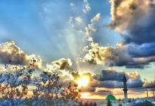 99151c2d4c25ee9ea4e7d37e58be8b44