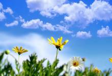 cc385dd8dd4583ea7821bd894d456bf1