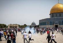 thumbs_b_c_7a0cd8648b7eeb86e42bdc4c876fb76a