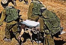 63e652908f9b6af5ee529b2a1d82429e