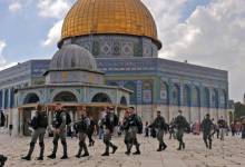 ryy811600zf-0-0-3000-1688-0-x-la-1649000528