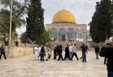 c95c9efc912b249c144597c57bd3cfb6