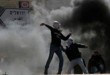 8f3a073e31945717a679d2a3f251b02d