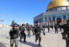 625cb2d542360447341a1a00