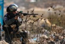 mxc1m-png-21916472697138424-e1649676388212-pn7f9z6yh4sktmdp3wlkknevmju4g5b3fsimle1q1s