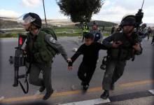 530ca4ab2d9f74254d85714cf35fd84d