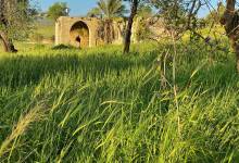 213521797_10225487170625148_485524318005369895_n