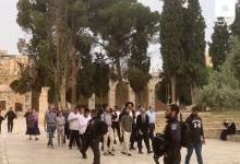 photo_2022-05-15_07-17-13