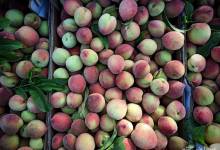 photo_2022-05-07_12-30-03