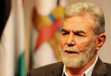 406c720c-fa2e-4f7d-8633-02b0304f7d04