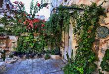 288374044_5364242266932289_4617192816488017052_n