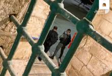 eaa86a33-3b85-4ae4-8009-007901cbf2f1