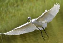 288928206_1932142210509824_4626403469976364474_n