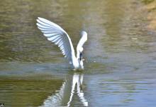 285644845_1926867384370640_5568180541884099305_n