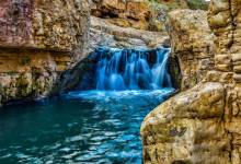 288063195_3276177185996470_921447891804435594_n