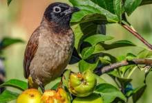 285476407_1917915218599190_7075503700660399989_n