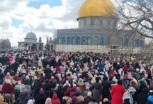 339096393_1935021466860701_7310033779265442455_n