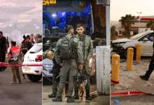 photo_2023-04-07_14-00-35